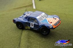 2015 DM 4WD Buggy 4WD Juni